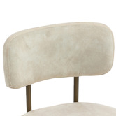 Evie Home Ricano Velvet Dining Chairs