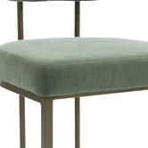 Evie Home Ricano Velvet Dining Chairs