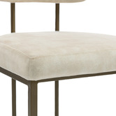 Evie Home Ricano Velvet Dining Chairs