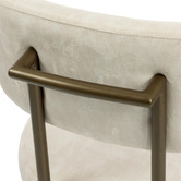 Evie Home Ricano Velvet Dining Chairs