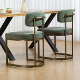 Evie Home Ricano Velvet Dining Chairs