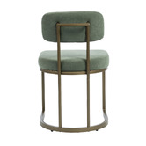 Evie Home Ricano Velvet Dining Chairs