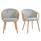 Evie Home Jaylen Chenille Dining Chairs