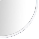 Principle Arc White Peyton Oval Stainless Steel Wall Mirror