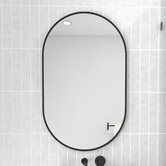 Principle Arc Black Peyton Oval Stainless Steel Wall Mirror