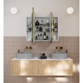 Principle Arc Caleb 1200mm Oval Mirrored Shaving Cabinet