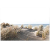 Lotus &amp; Fawn Sand Dune &amp; Grass By The Beach Canvas Wall Art