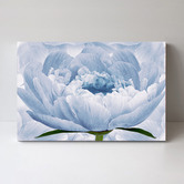 Lotus &amp; Fawn Gentle Bloom Stretched Canvas Wall Art