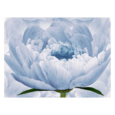 Lotus &amp; Fawn Gentle Bloom Stretched Canvas Wall Art