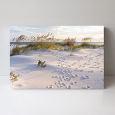 Lotus &amp; Fawn Footprints By The Beach Stretched Canvas Wall Art