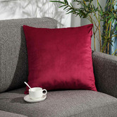 Palatial Designs Premium Velvet Cushion Cover