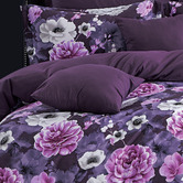 Palatial Designs Antonella Floral Quilt Cover Set