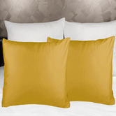 Palatial Designs Soft Microfibre European Pillowcases