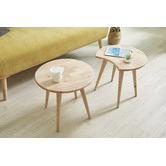Maja Ansel Design 2 Piece Ant Coffee Table Set