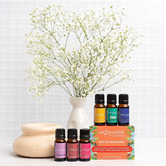 Aromamatic 6 Piece 10ml Aromamist Best Selling Blends Essential Oil Set
