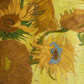 Bedding House x Van Gogh Yellow Tourmesol Van Gogh Cotton Sateen Quilt Cover Set