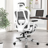 HoxtonRoom Piper Office Chair | Temple & Webster