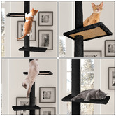 Hoxton Room 286cm Felix Cat Scratching Tree