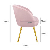 Hoxton Room Franco Velvet Armchair