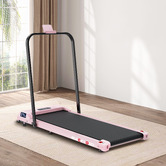 Hoxton Room Omari Walking Pad with Handrail
