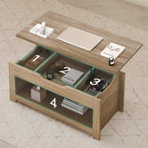 Hoxton Room Michel Rectangular Lift-Top Coffee Table