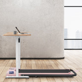 Hoxton Room Omari Deluxe Walking Pad with Handrail