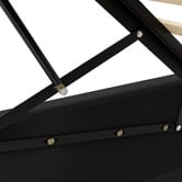 Hoxton Room Black Alpine Upholstered Gas Lift Storage Bed with LED