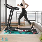 Hoxton Room Tyrannize Foldable Electric Treadmill