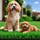 Hoxton Room Olive Green Low Pile Artificial Grass