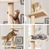 Hoxton Room 286cm Cecil Cat Tree