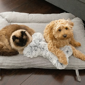 La Doggie Vita 2-in-1 Hamptons Stripe Sofa Pet Bed