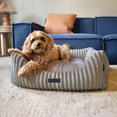 La Doggie Vita Velour Corduroy Bolstered Dog Bed