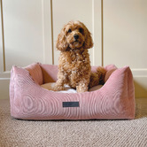 La Doggie Vita Corduroy Bolstered Dog Bed