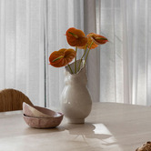 Paola and Joy Nova Ceramic Vase