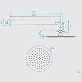 Fontaine Industries Rosa 250mm Shower Arm &amp; Head