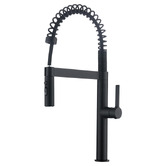 Fontaine Industries Broswin Pull-Down Kitchen Sink Mixer