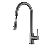 Fontaine Industries Rosa Pull-Out Kitchen Sink Mixer