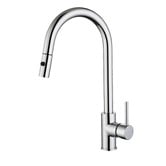 Fontaine Industries Rosa Pull-Out Kitchen Sink Mixer