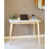 Modern Collective Freyre 2 Drawer Desk