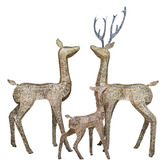 Modern Collective Salween LED Family Reindeer Motif Lights