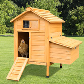 Modern Collective Emil Fir Wood Chicken Coop