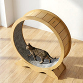 Modern Collective Eloisa Cat Exercise Wheel