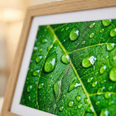 Modern Collective Brandy 6 x 8" Plastic Digital Photo Frame