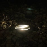 Greenskeeper Lighting Cast Brass 50W Inground Uplight