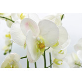 The Silk Collective 54cm Potted Faux White Orchid Plant