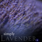 Simply 200ml Lavender Reed Diffuser Refill