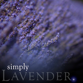 Simply Lavender Incense Sticks