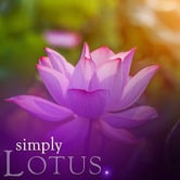 Simply 200ml Lotus Reed Diffuser Refill