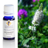 Gumleaf Essentials 10ml Spearmint Essential Oil