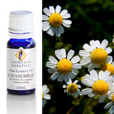 Gumleaf Essentials 10ml Chamomile Roman Essential Oil